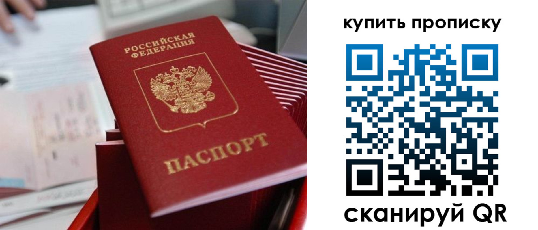 временная регистрация законно в Алексеевке